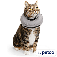 Cat Cones Recovery Cat Cones Collars Petco Page 17