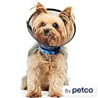 Dog recovery suit petco sale