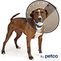 Medipaw petco discount