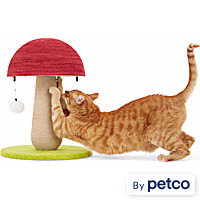 EveryYay Toadstool Scratch Post for Cats