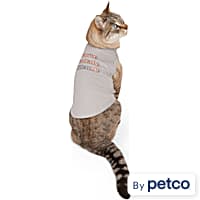 Cat clothes sales near me