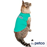 Cat Clothes Shirts Sweaters More Outfits Petco
