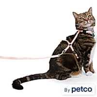 Cat Harnesses Walking Vests More Petco