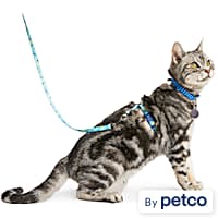 Cute Cat Harness With Wings Leash Set Large Cat Lead – MEWCATS