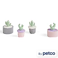 Imagitarium 4-piece Succulent Accents