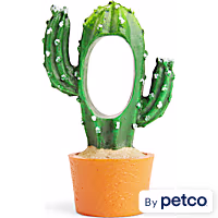 Imagitarium Terracotta Cactus