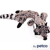 Leaps & Bounds Wildlife Raccoon Dog Toy
