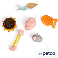 Kitten hotsell pacifier petco