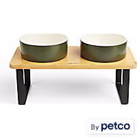 Reddy Green Elevated Double Diner Dog Bowl