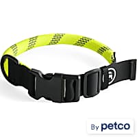 Quick release dog collar petco outlet