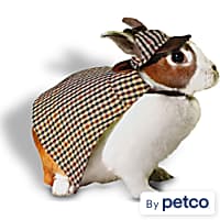 Small Animal Clothes Leashes Rabbits Guinea Pigs Petco