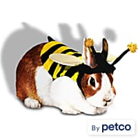 Bunny harness petco hot sale