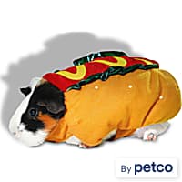 Small Animal Clothes Leashes Rabbits Guinea Pigs Petco