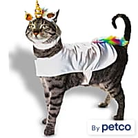 Cat Clothes Shirts Sweaters More Outfits Petco