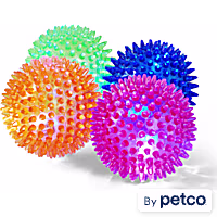 Leaps & Bounds LED Light-Up Spiny Ball Toy for Dogs in Various Colors