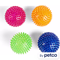 Leaps & Bounds Spiny Ball Assorted Dog Chew Toy