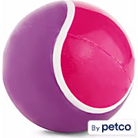 Leaps & Bounds Soft Tennis Ball Assorted Dog Toy