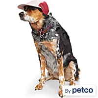 Dog Hats Beanies Summer Winter Head Gear Petco