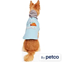 Happy hoodie petco hot sale