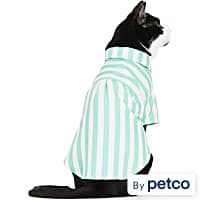 Cat Clothes: Shirts, Sweaters, & More Outfits