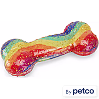 YOULY Rainbow TPR Bone Dog Toy