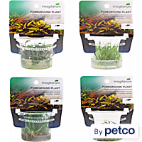 Tissue Culture Combo Pack F