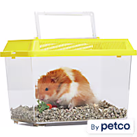 EveryYay Square Pet Keeper