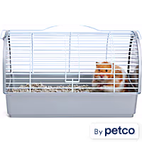 EveryYay Small Animal Pet Carrier