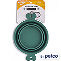 EveryYay Open-Air Eats Collapsible Bowl for Dogs