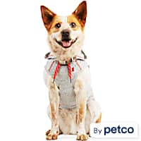 Reddy Grey Hooded Tank for Dogs