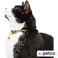 Seresto cat outlet collar petco