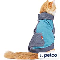 Petco 2025 cat sweater