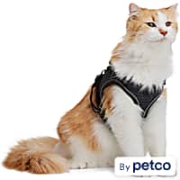 Petco cat leash top