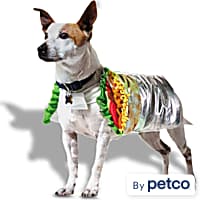 Dog burrito costume top