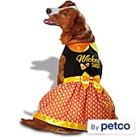 The Best Places to Buy Halloween Pet Costumes Online – SheKnows