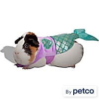 Bunny on sale leash petco