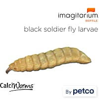 Live mealworms petco shop