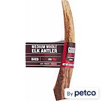 Good Lovin' Naturally Shed Elk Antler Dog Chew
