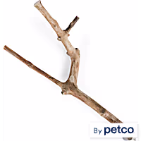 You & Me Java Wood Multi-Branch Perch Toy