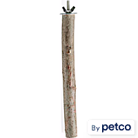 You & Me Manzanita Wood Bird Perch Toy