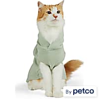 Cat recovery new arrivals suit petco