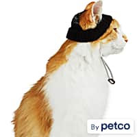 Petco cat hot sale sweater