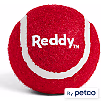 Reddy Red Tennis Ball Dog Toy