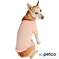 Petco dog bow tie clearance