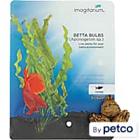 Petco best sale live plants