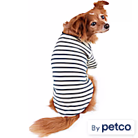 Reddy Stripe Tee for Dogs