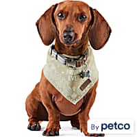 Reddy BFF Dog Bandana