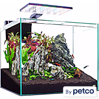 Imagitarium Glass Shrimp & Aquatic Plants Aquarium