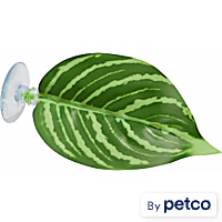 Imagitarium Single Leaf Betta Perch