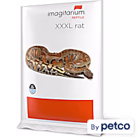 Frozen XXXL Rat